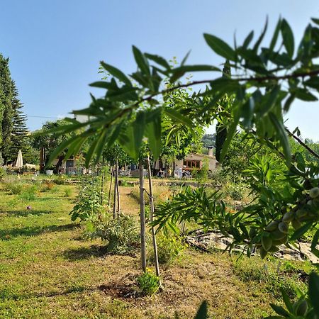 La Ferme Constantin Βίλα Fayence Εξωτερικό φωτογραφία