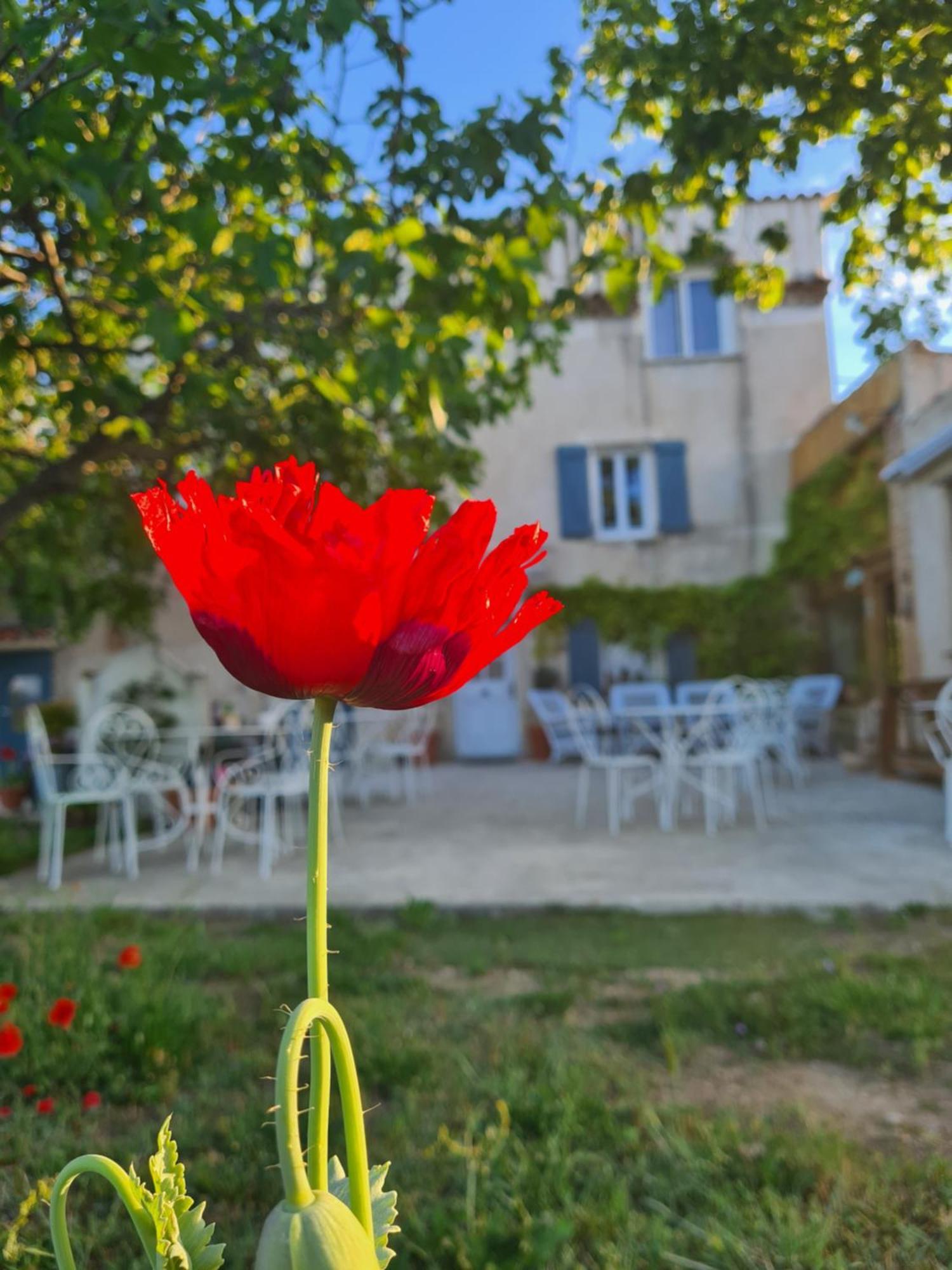 La Ferme Constantin Βίλα Fayence Δωμάτιο φωτογραφία