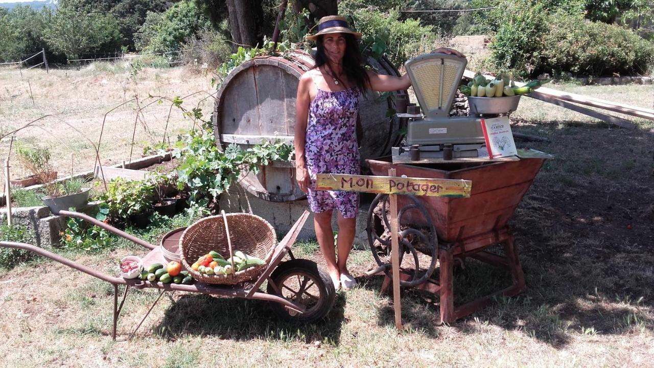 La Ferme Constantin Βίλα Fayence Εξωτερικό φωτογραφία