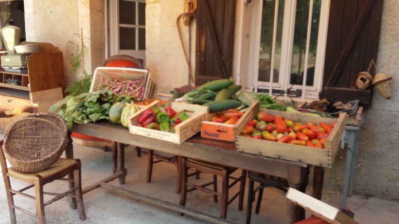 La Ferme Constantin Βίλα Fayence Εξωτερικό φωτογραφία